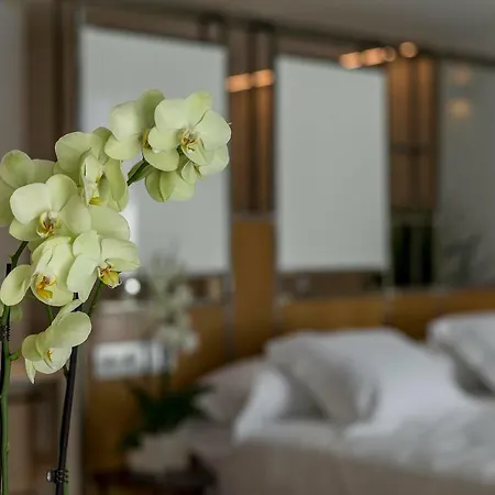 Vinatea Apartment Morella