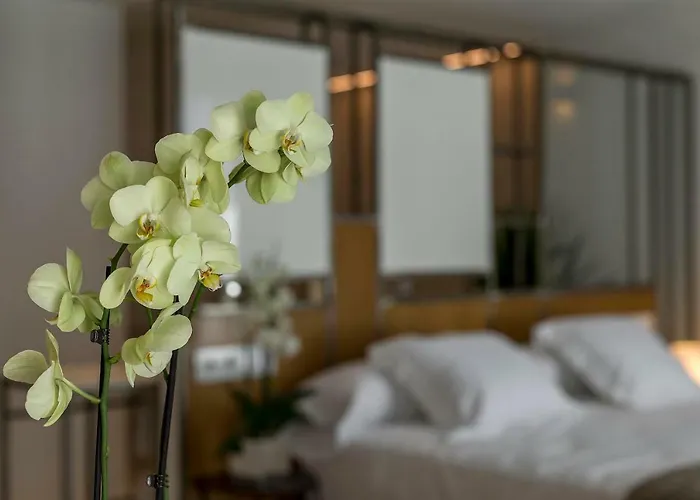 Vinatea Appartement Morella